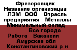 Фрезеровщик › Название организации ­ ЛЗМ, ООО › Отрасль предприятия ­ Металлы › Минимальный оклад ­ 35 000 - Все города Работа » Вакансии   . Амурская обл.,Константиновский р-н